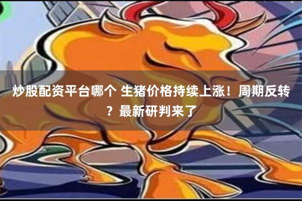 炒股配资平台哪个 生猪价格持续上涨！周期反转？最新研判来了