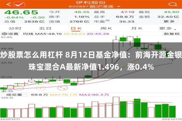 炒股票怎么用杠杆 8月12日基金净值：前海开源金银珠宝混合A最新净值1.496，涨0.4%