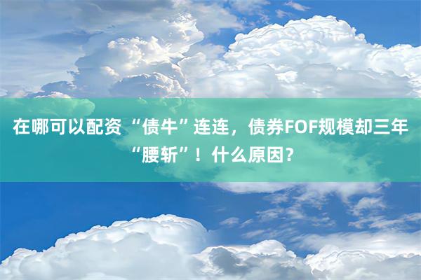 在哪可以配资 “债牛”连连，债券FOF规模却三年“腰斩”！什么原因？