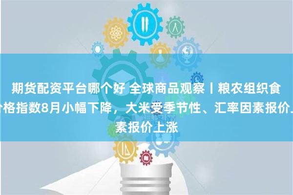 期货配资平台哪个好 全球商品观察丨粮农组织食品价格指数8月小幅下降，大米受季节性、汇率因素报价上涨