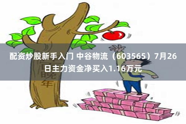 配资炒股新手入门 中谷物流（603565）7月26日主力资金净买入1.16万元