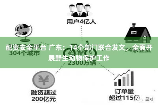 配资安全平台 广东：14个部门联合发文，全面开展野生动物保护工作