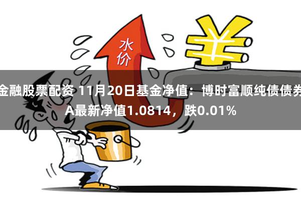 金融股票配资 11月20日基金净值：博时富顺纯债债券A最新净值1.0814，跌0.01%