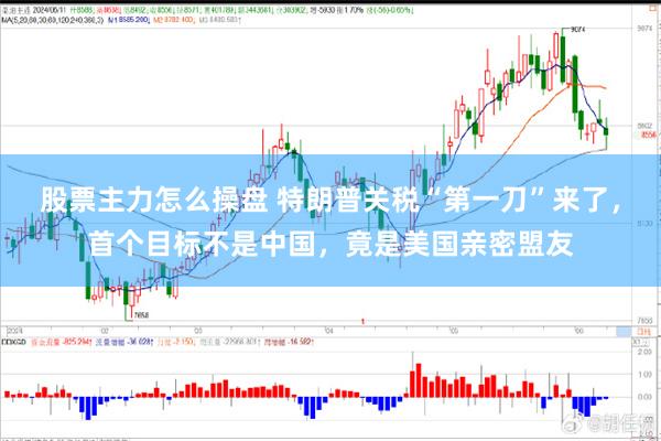 股票主力怎么操盘 特朗普关税“第一刀”来了，首个目标不是中国，竟是美国亲密盟友