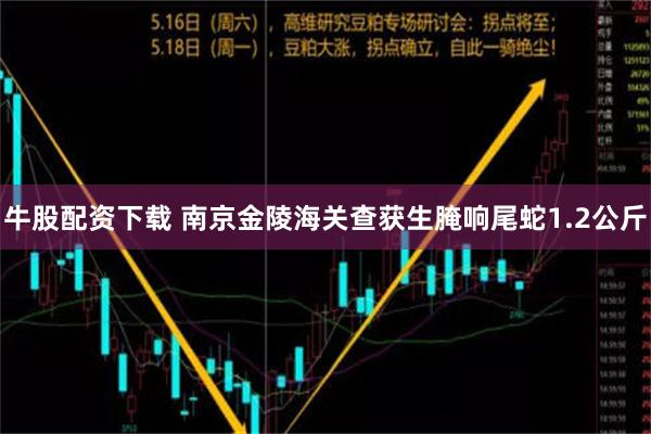 牛股配资下载 南京金陵海关查获生腌响尾蛇1.2公斤